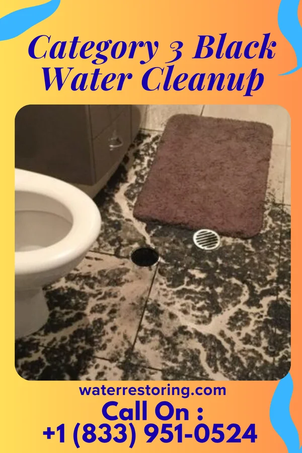 Category 3 Black Water Cleanup in Ellettsville, IN