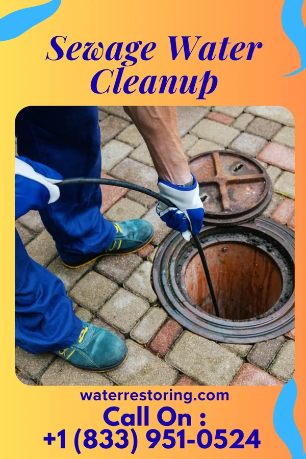 Sewage Water Cleanup in Ellettsville, IN